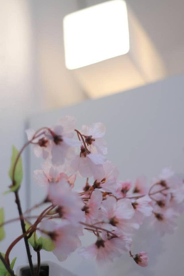 Bhotel Ball Park - Newlybuild 2 Bedrm Apt 2 Mins Baseball Museum 4Ppl Hiroshima Luaran gambar
